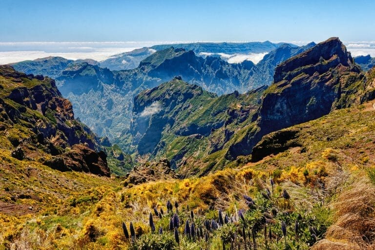 Pico do Areiro